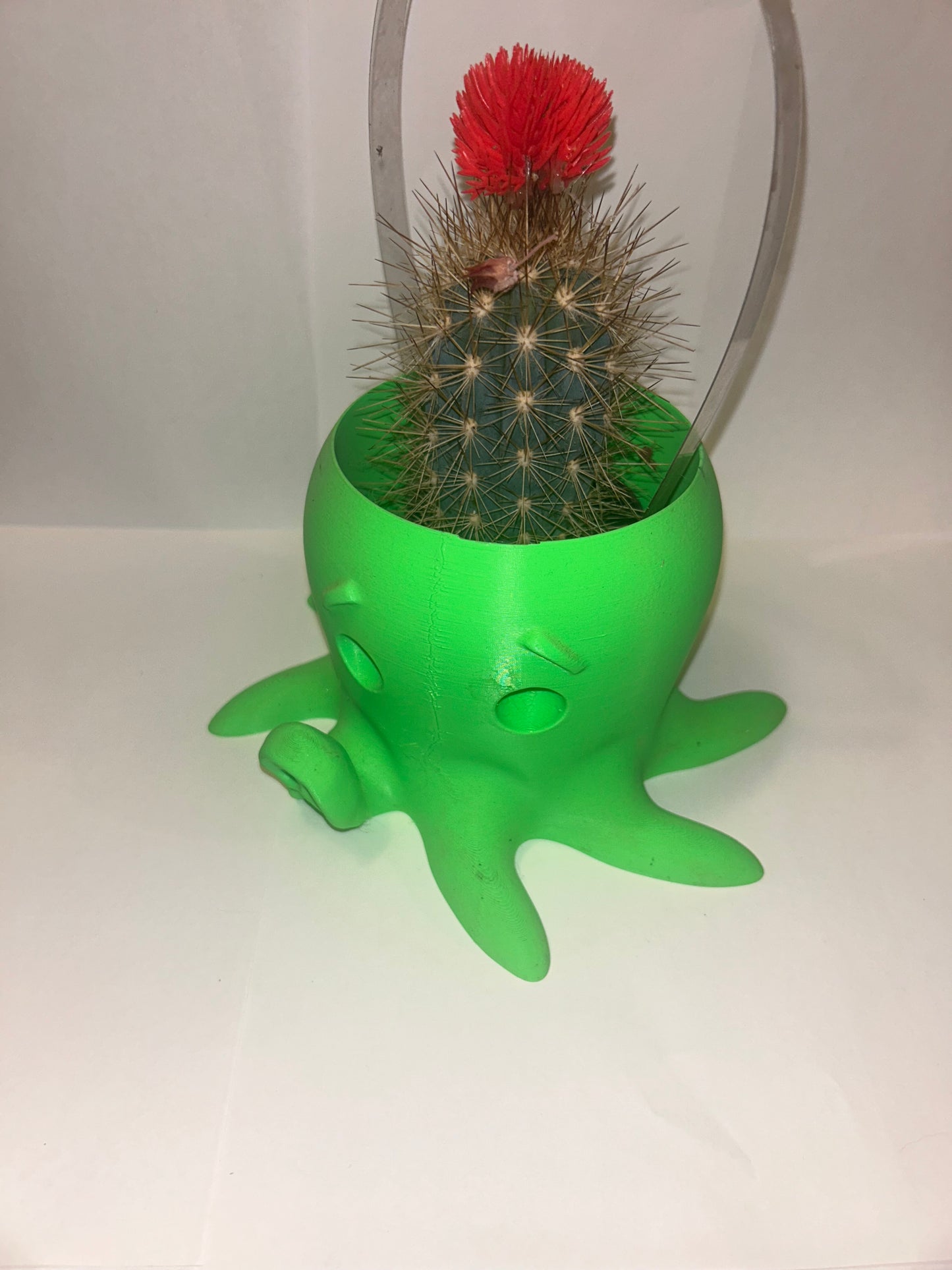 Octopus Planter