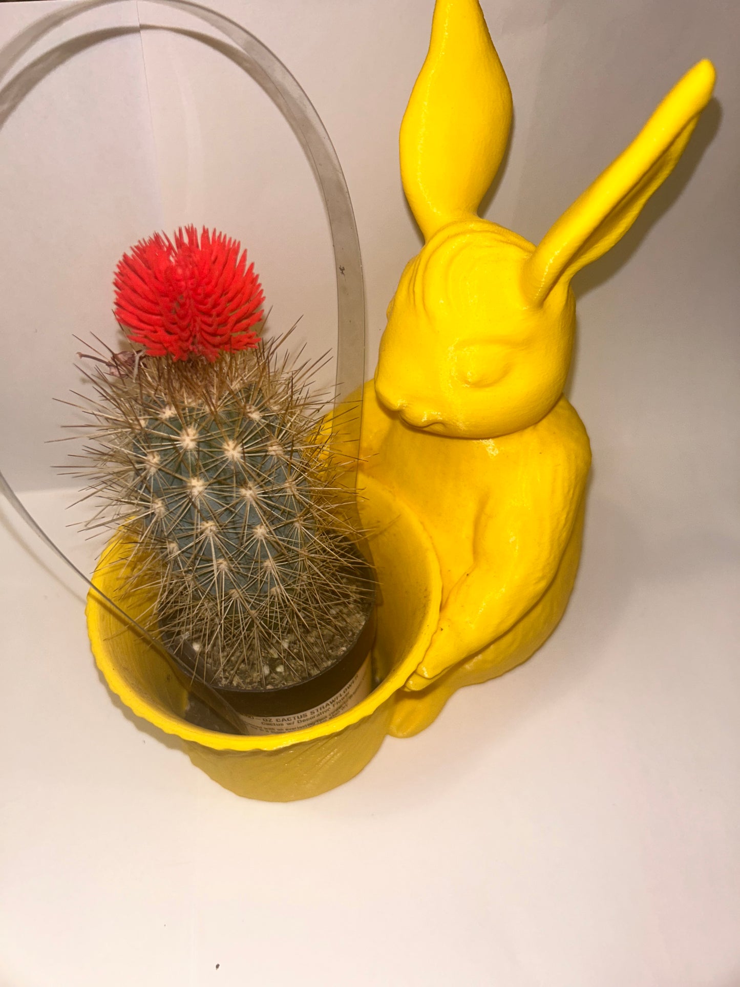 Bunny Rabbit Holding Bowl