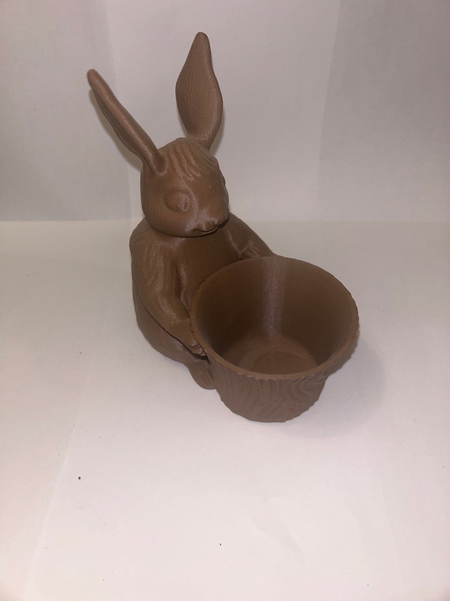 Bunny Rabbit Holding Bowl