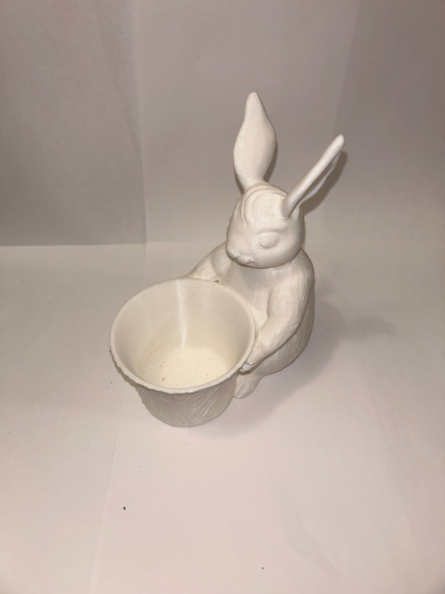 Bunny Rabbit Holding Bowl