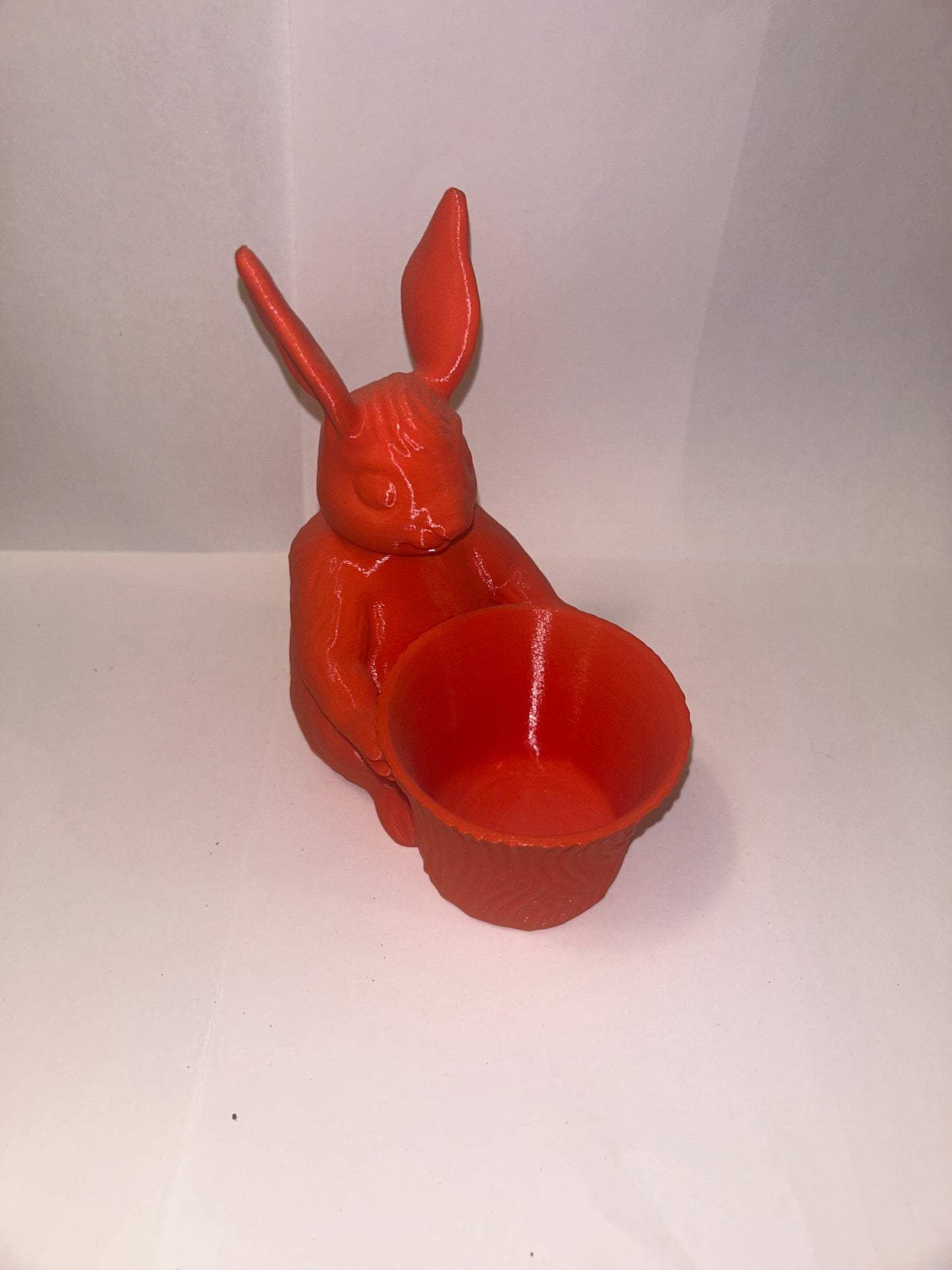 Bunny Rabbit Holding Bowl