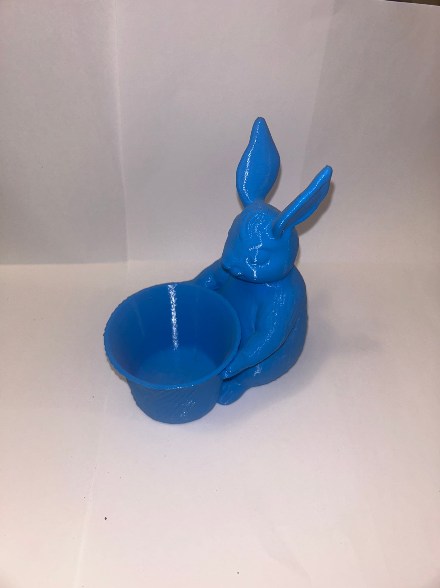 Bunny Rabbit Holding Bowl